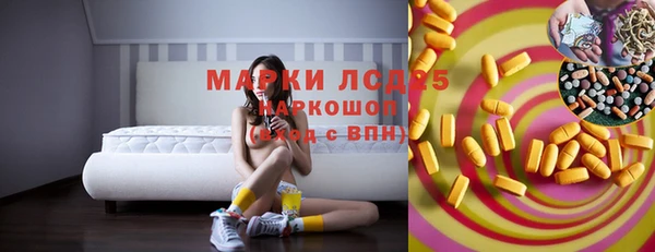 PSILOCYBIN Кулебаки