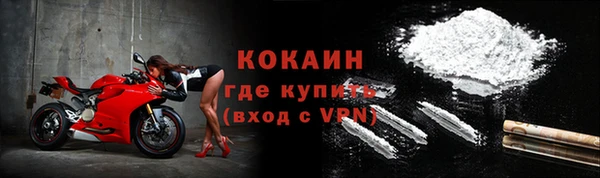 PSILOCYBIN Кулебаки