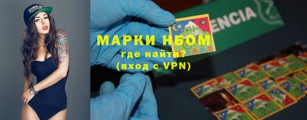 PSILOCYBIN Кулебаки