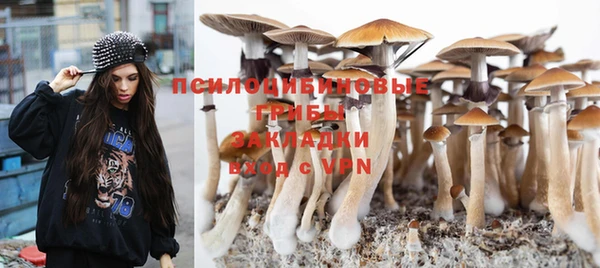МДПВ Куйбышев