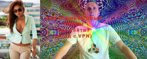 PSILOCYBIN Кулебаки